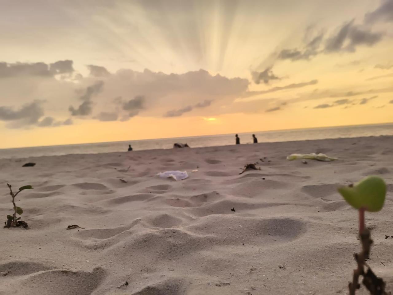 Marrari Felix Home Alappuzha Bagian luar foto