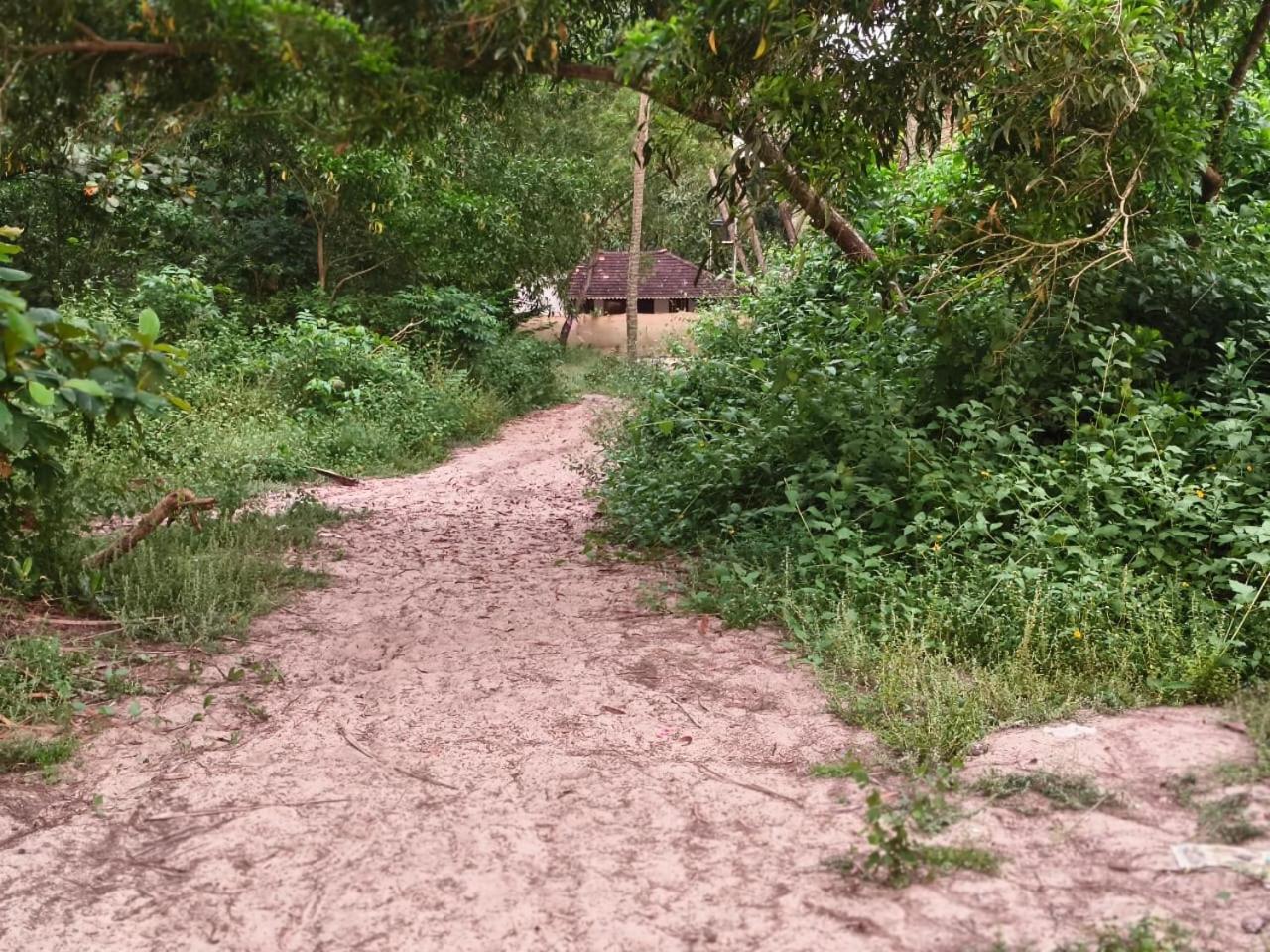 Marrari Felix Home Alappuzha Bagian luar foto